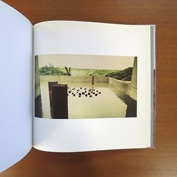 Amazon.co.jp: ボスコソディ 彫刻 作品集□図録 抽象画 美術手帖
